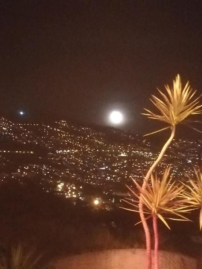 Cc39-q6 Privatunterkunft Funchal (Madeira)