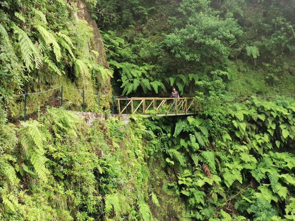 Privatunterkunft Cc39-q6 Funchal (Madeira)